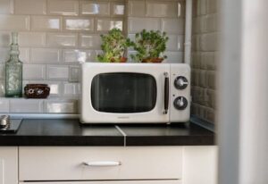 Countertop Microwave Image For The Microwave Buying Guide
